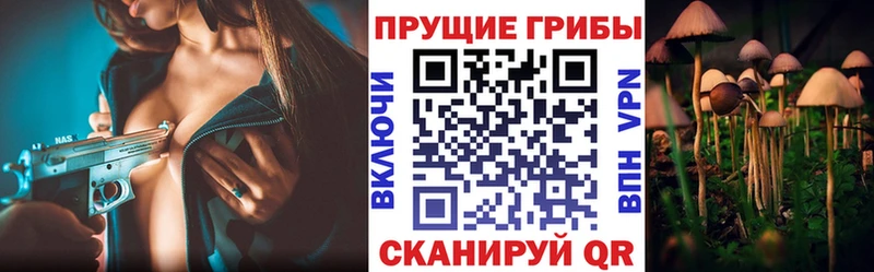 Галлюциногенные грибы ЛСД  наркошоп  Каргат 