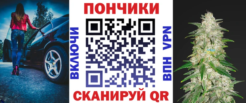 MEGA ONION  Каргат  Каннабис Amnesia 
